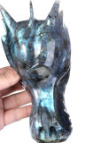 Stunning! Natural Flash Labradorite Dragon Skull Carving #3r56, Healing