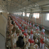 Poultry Farming Equipment for Turnkey Agricultural Project (JCJX-167)