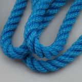 8 Mm Blue Nylon Rope