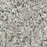 G383 Pearl Blossom Granite (FD-056)