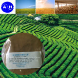 Multi-Element Fertilizer for Organic Agriculture