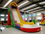 Inflatable Water Slide (AQ1065)