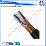 Fire Resistant/Fireproof/Fr/XLPE/PVC/PE/Armored/Shielded/Instrument Computer Cable