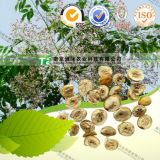 Manufacturer Supply Natural Herbal Drug Fructus Toosendan