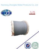 Galvanized Steel Wire Rope for Hanger