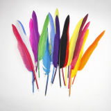 Feather Ball Pens (LS-A103)