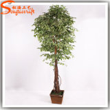 China Supplier Artificial Live Ficus Bonsai Tree