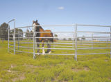 Galvanized Cattle Panel, Livestock Panel, Horse Yard Panel