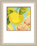 Handpainted Decorate PS Frame Spray Green Yellow Lemon Orange Fruit Fruitage Painting Drawing Paint