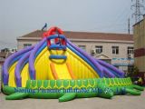 Inflatable Turtle Water Slide with a Pool