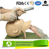 Advanced Child Tracheal Intubation Model (CE/FDA/ISO)