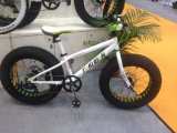 Facotry Supply Kids Bike for 3-6 Years Old
