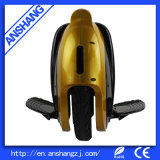 Golden Safe Electric Technology Unicycle with Bluetooth Music