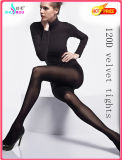 Fashion Sexy 120d Plain Tights Pantyhose in Socks Stockings for Spring & Autumn Season (SR-1501)