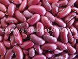 Dark Red Kidney Beans~