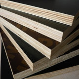 Shandong Manufacturer of Shuttering Plywood for Construction