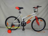 Children/Kids/Youth Girl Mountain Bike (FP-KDB061)