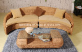 Modern Rattan Furniture Sofa Set Home Furniture