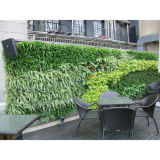 High Quality Artificial Plants and Flowers of Green Wall Gu-Wall00897003302
