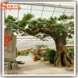 Garden Decoration Fiberglass Artificial Plants Ficus Tree