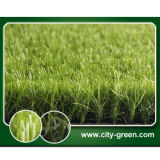 Copied Grass Lawn for Landscaping (25L59Y33G2-B)
