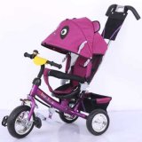 Hot Umbrella Baby Tricycle Children Tricycle with Push Ts-5182A