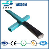 Wisdom Brand Good Quality Erni-1 Is Used for The Welding of Nickel 200 and 201