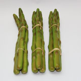 Artificial Vegetable, Imitative Polyfoam Asparagus (AG06-1-0602)