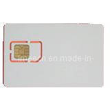 Smart Card /Contact Card (02)