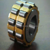 Overall Eccentric Bearing (180752202)