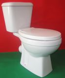Competitive Price X-Trap Toilet for Russia