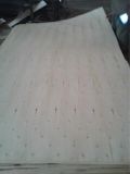 Very Cheap Prices of Full Poplar Plywood for Buildings