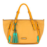 Brown Tassel Hang Tag Fashion Woman Handbag (MBNO032101)