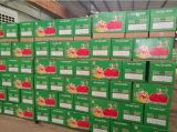 Fresh FUJI Apple (20kg Carton)