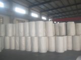 PP Non-Woven cloth-  in Jumbo Roll