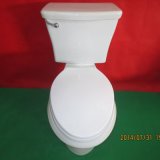 Popular Two Piece Sanitary Ware for USA