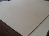 Commercial Plywood 6-21mm Thickness Ordinary Plywood