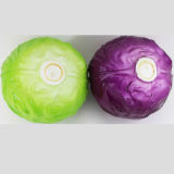 High Quality PU Simulation Vegetable Artificial Cabbage,