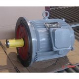 Best Quality Y2 Series 3-Phase Induction Motor