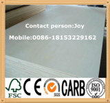 (9-21mm, 1220*2440mm) Poplar /Okoume 15mm Commercial Plywood