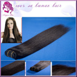 Fashion Remy Top Quality Lots Cheap Brazilian Virgin Human Silk Straight Hair Weave