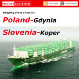 China Shipping Agent Koper (Slovenia) ; Gdynia (Poland) - FCL & LCL Container