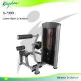 Fitness Equipment Gym Lower Back Extension