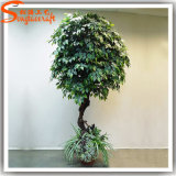 Best Sale Artificial Bonsai Ficus Microcarpa