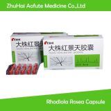 Health Food Medicine Supplement Rhodiola Rosea Capsule