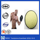 High Purity USP GMP Trenbolone Enanthate /Parabolan