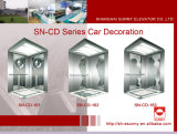 Elevator Cabin Decoration with Etching Panel (SN-CD-161)