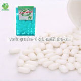 16g Mint Flavor Press Candy in Plastic Case