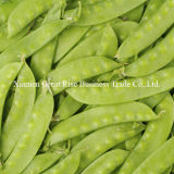 Quality Guarantee Natural Individual Quick Frozen Green Pea Pods for Cooking