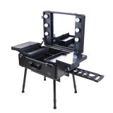 Professional Light Cosmetic Case Makeup Station Mirror
